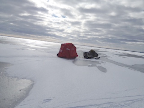 Willys tent